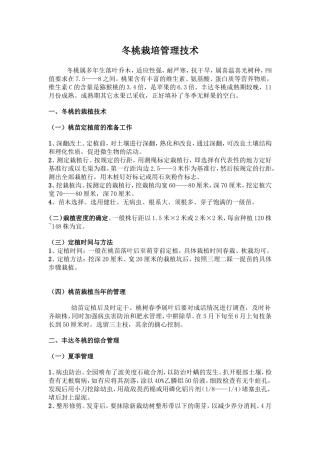 冬桃栽培管理技术