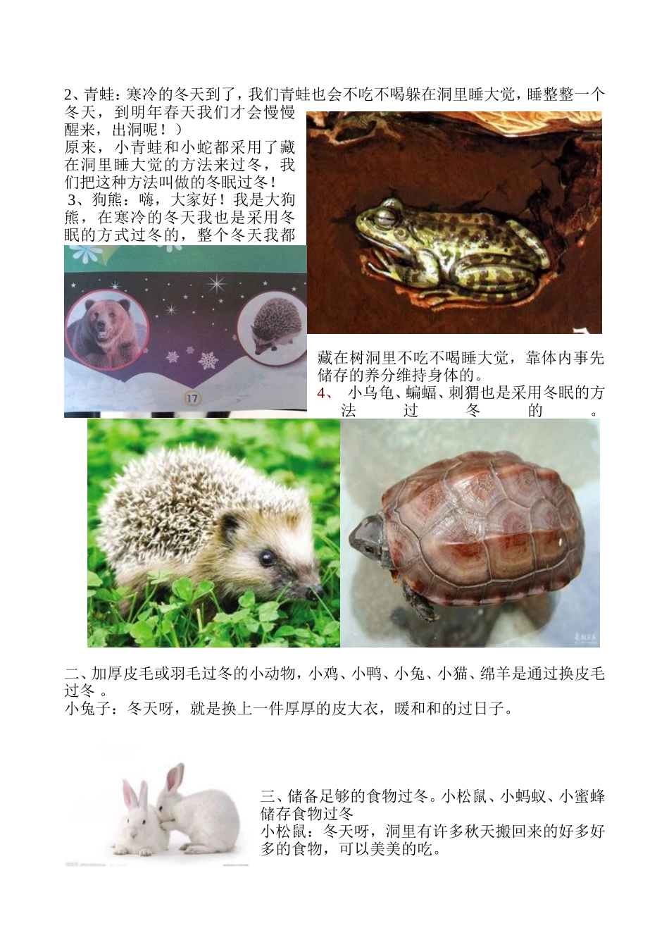 冬天动物们植物怎样度过冬天_第2页