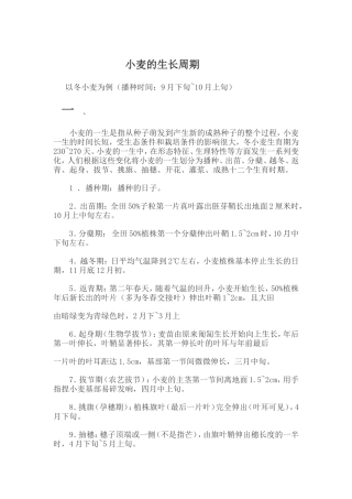 冬小麦生长周期