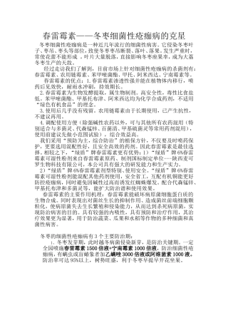 冬枣细菌性疮痂病