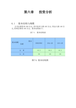 创业计划书财务分析与风险