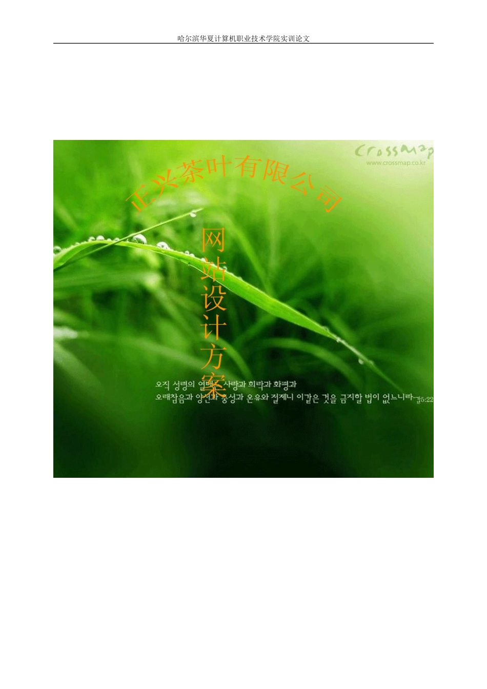 动态网站策划书02_第2页