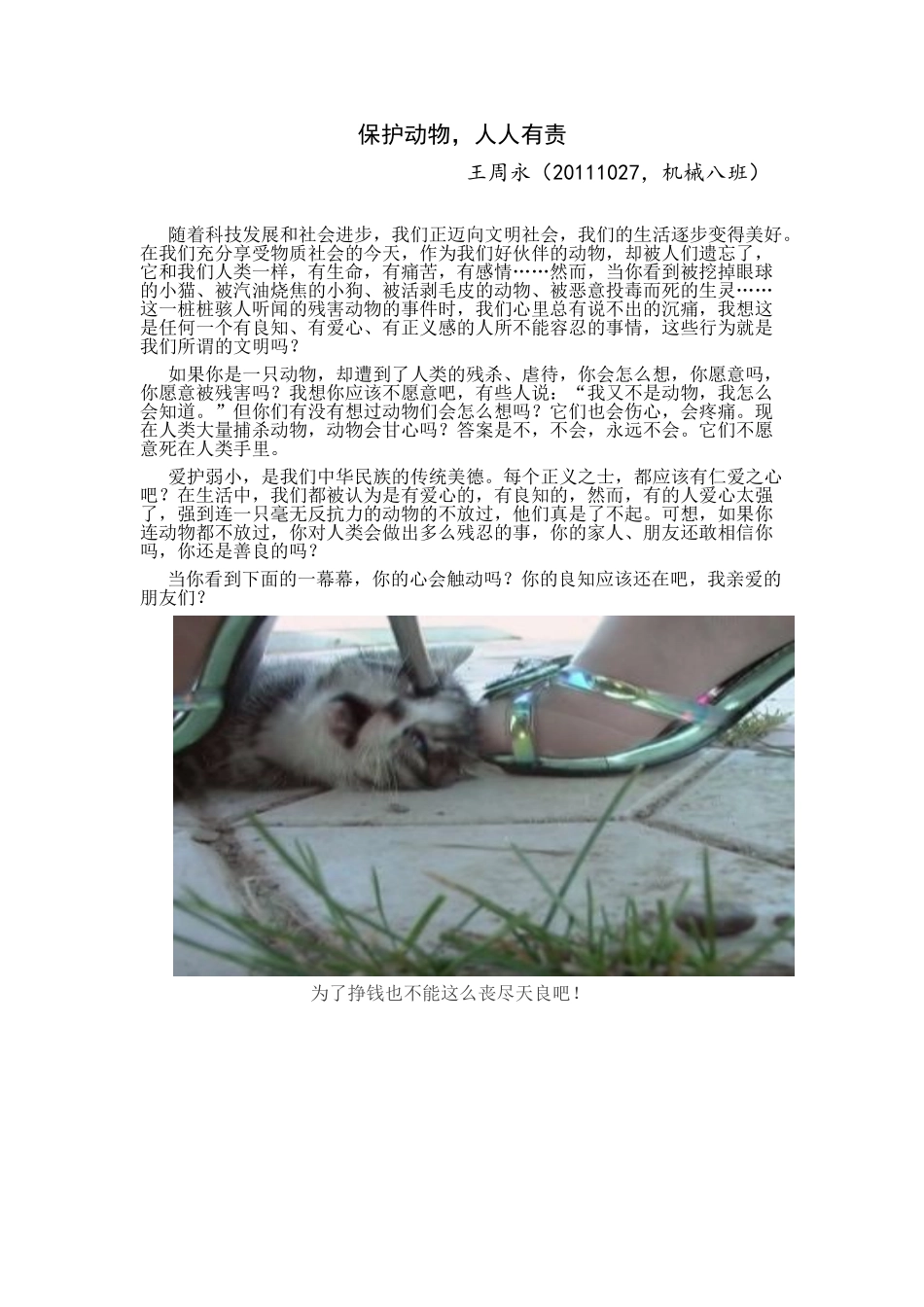 动物保护期末作业_第1页