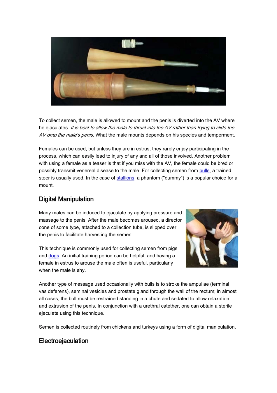动物采精方法_第2页