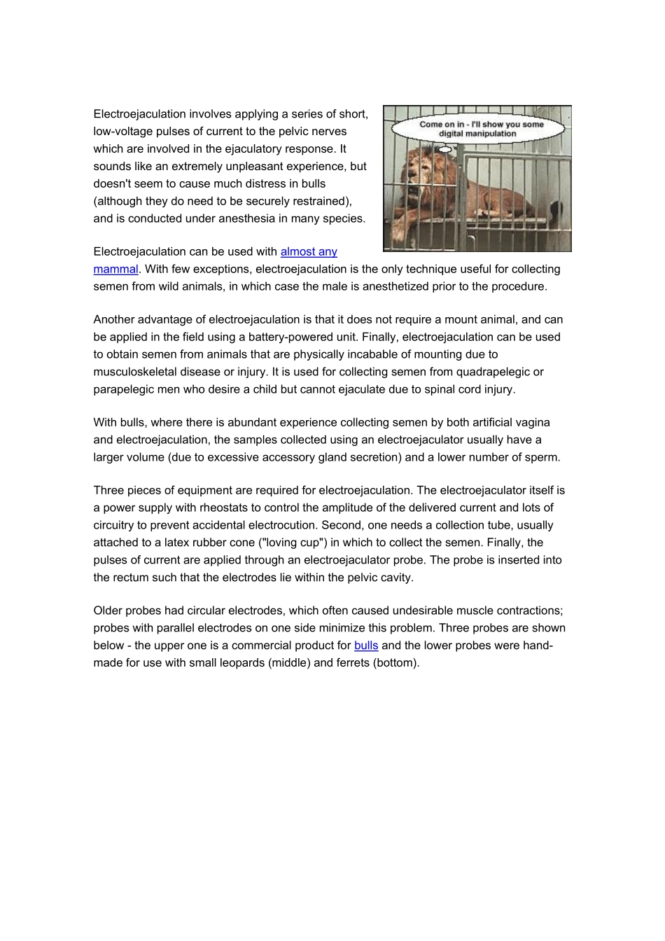 动物采精方法_第3页