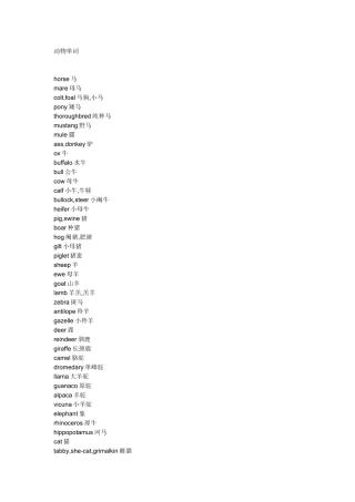 动物单词大全
