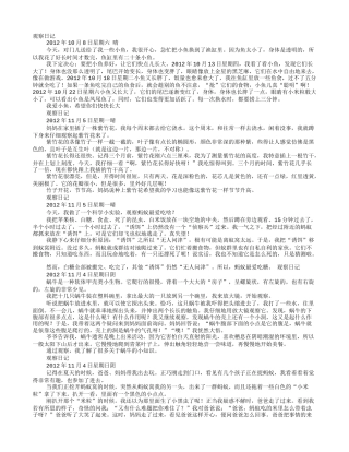 动物的观察日记300字以上