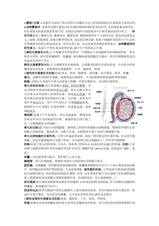动物繁殖学知识点整理