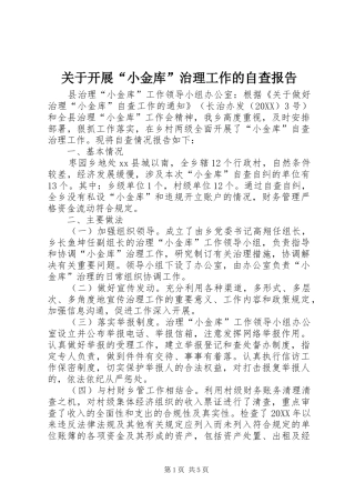 关于开展小金库治理工作的自查报告