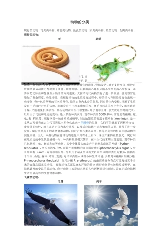 动物分类及图片