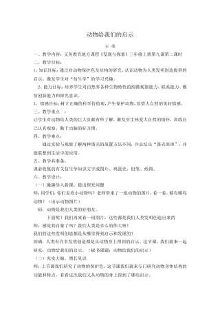 动物给我们的启示-教案
