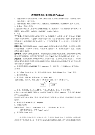 动物固体组织蛋白提取-Protocol