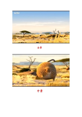 动画分镜头作业