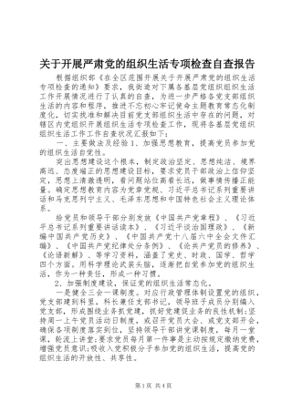 关于开展严肃党的组织生活专项检查自查报告