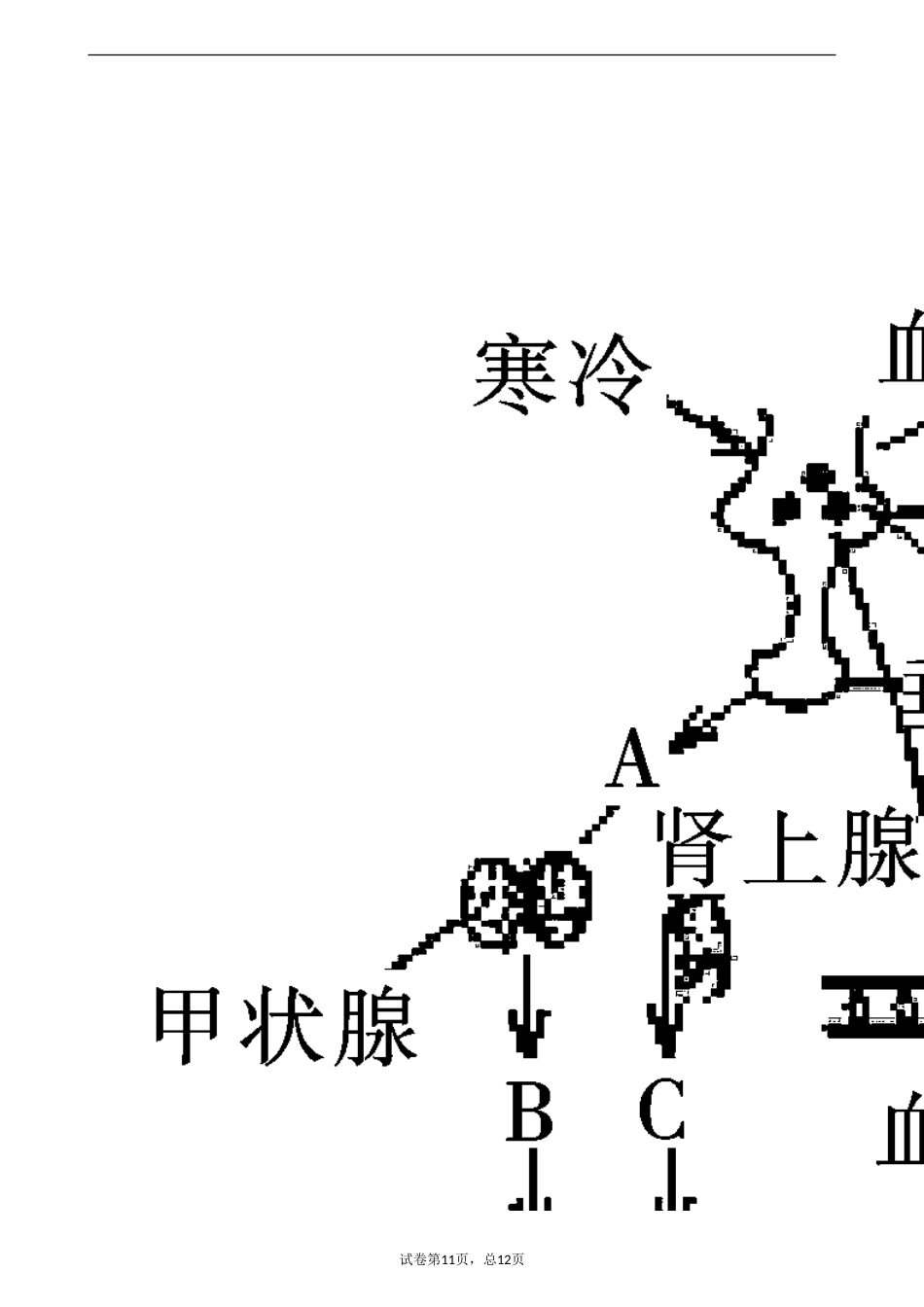 动物生命活动调节大题_第3页