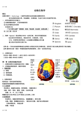 动物生物学内容(详而精)