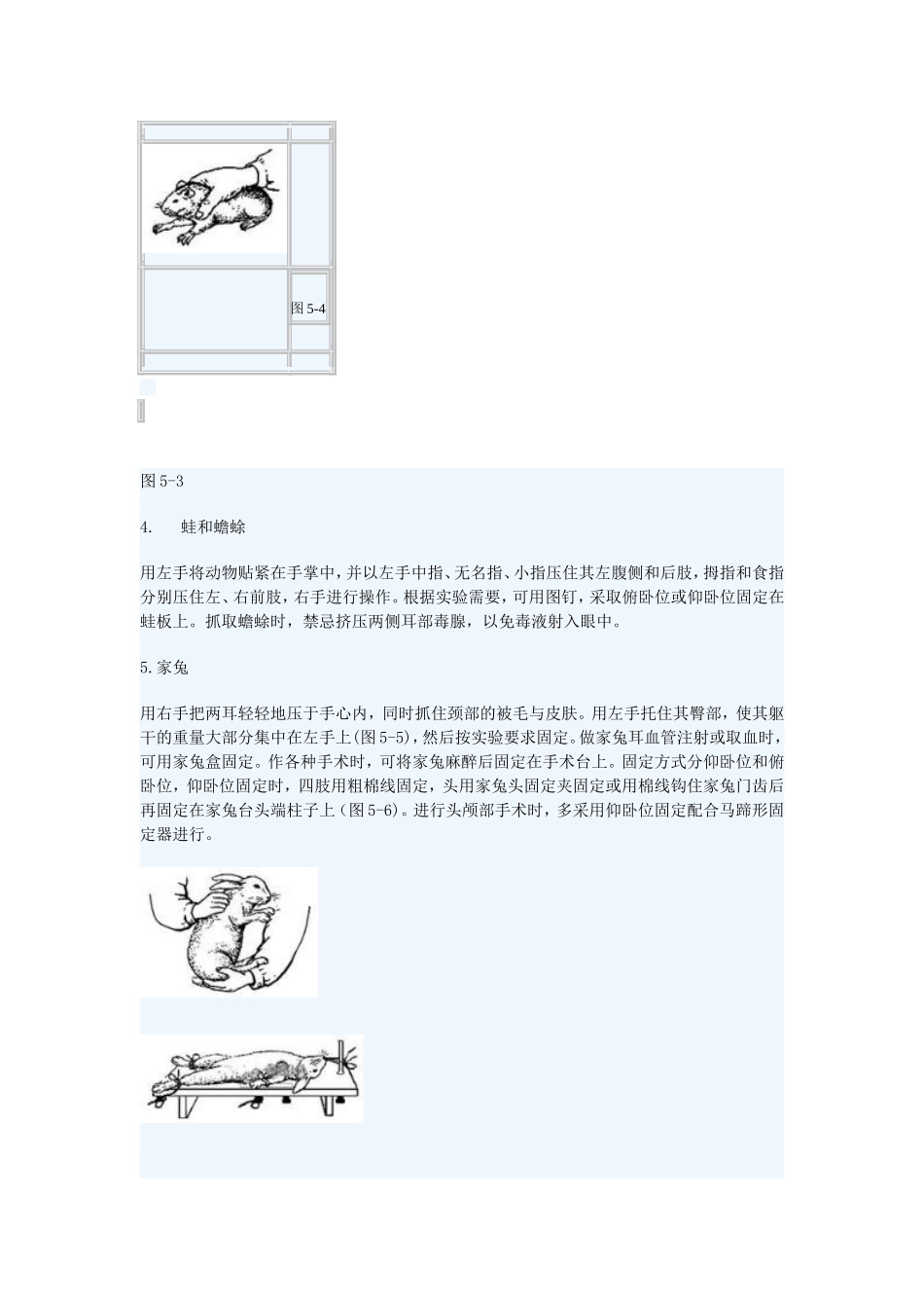 动物实验的基本操作_第2页