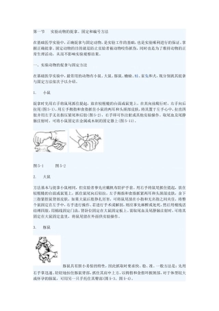 动物实验的基本操作