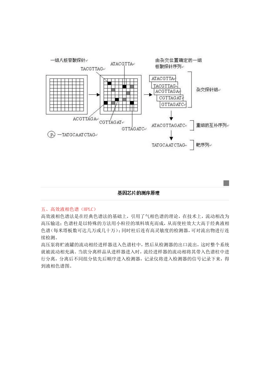 分子生物学常用实验方法原理介绍_第2页