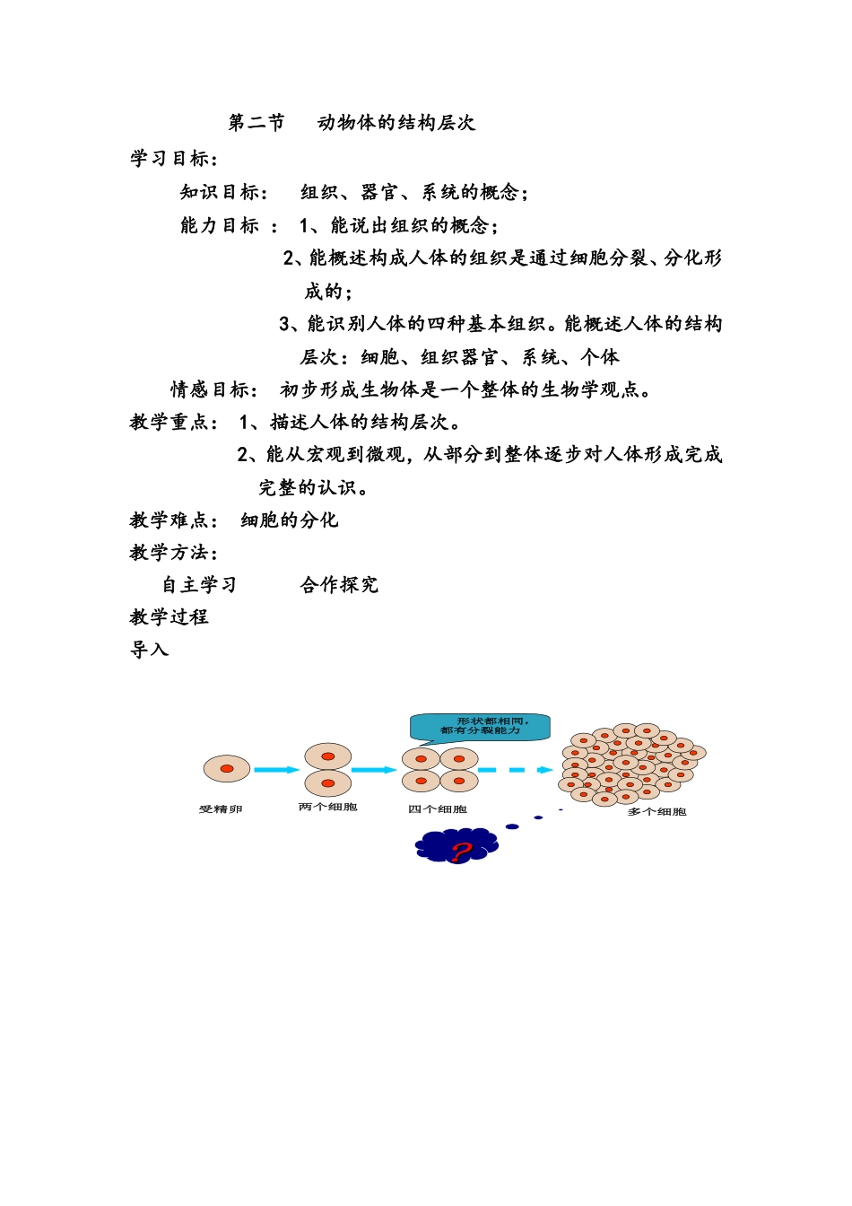 动物体的结构层次_第1页