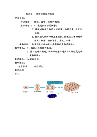 动物体的结构层次
