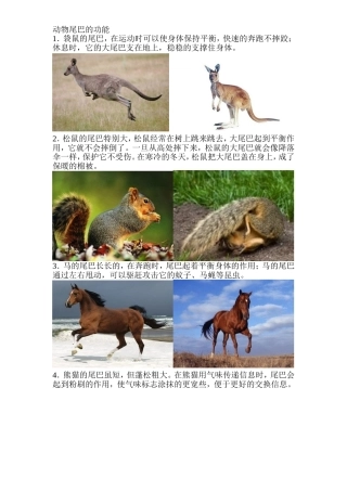 动物尾巴的功能