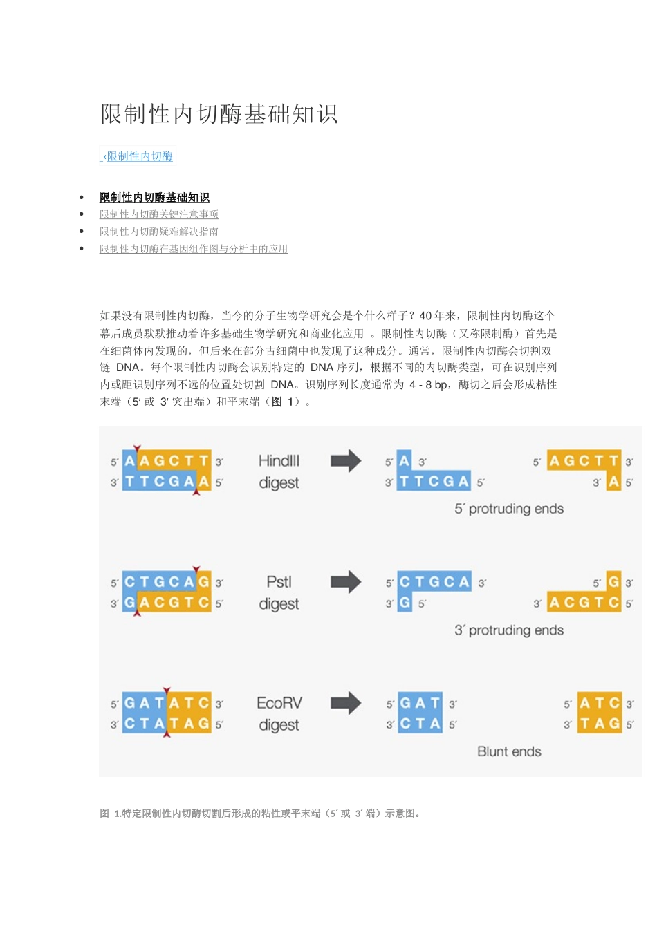 分子生物学实验技巧_第1页