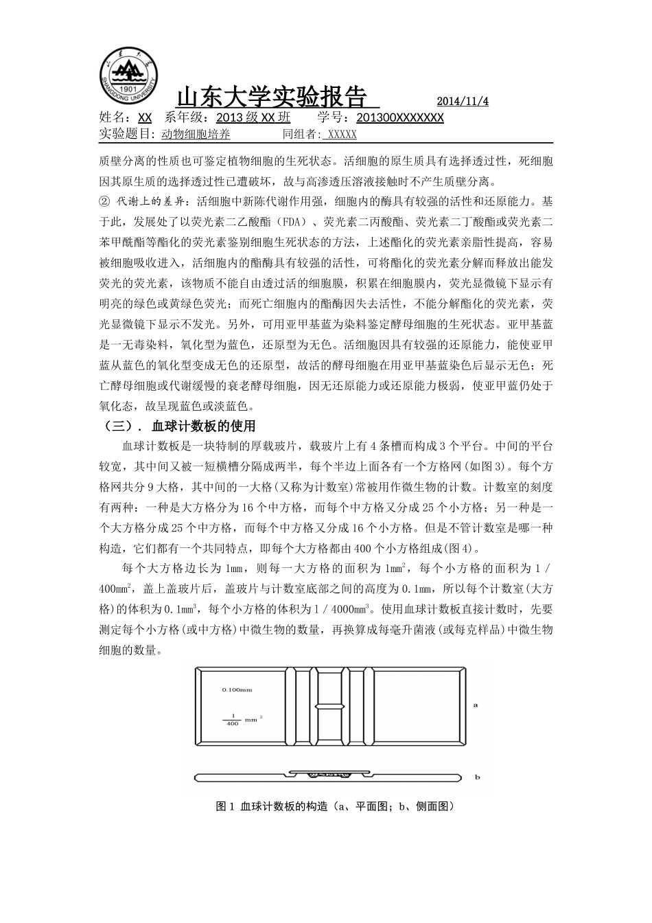 动物细胞培养技术小鼠脾脏细胞_第2页