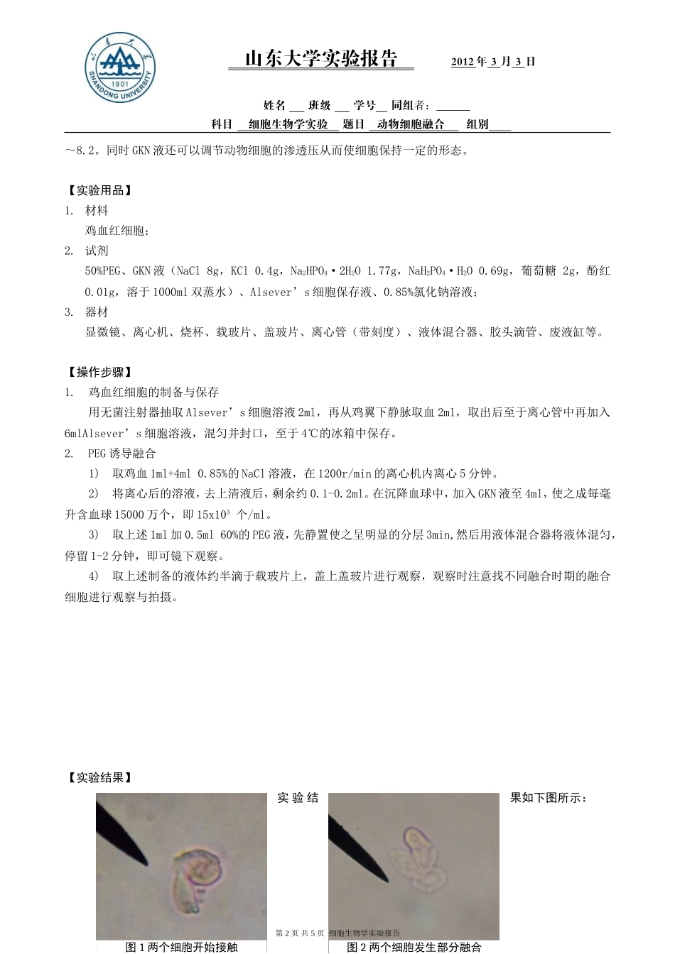 动物细胞融合_第2页