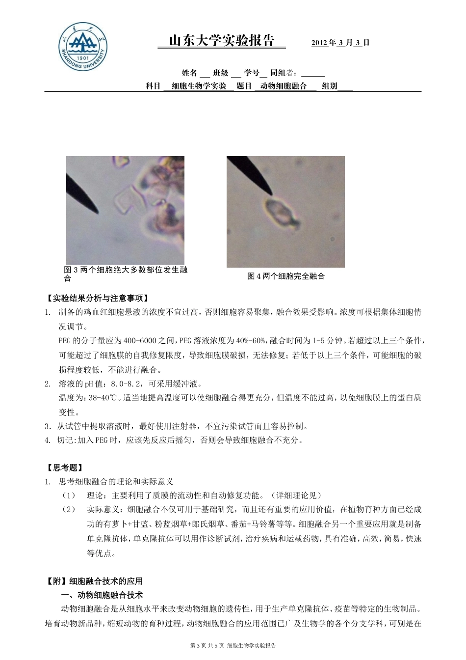 动物细胞融合_第3页