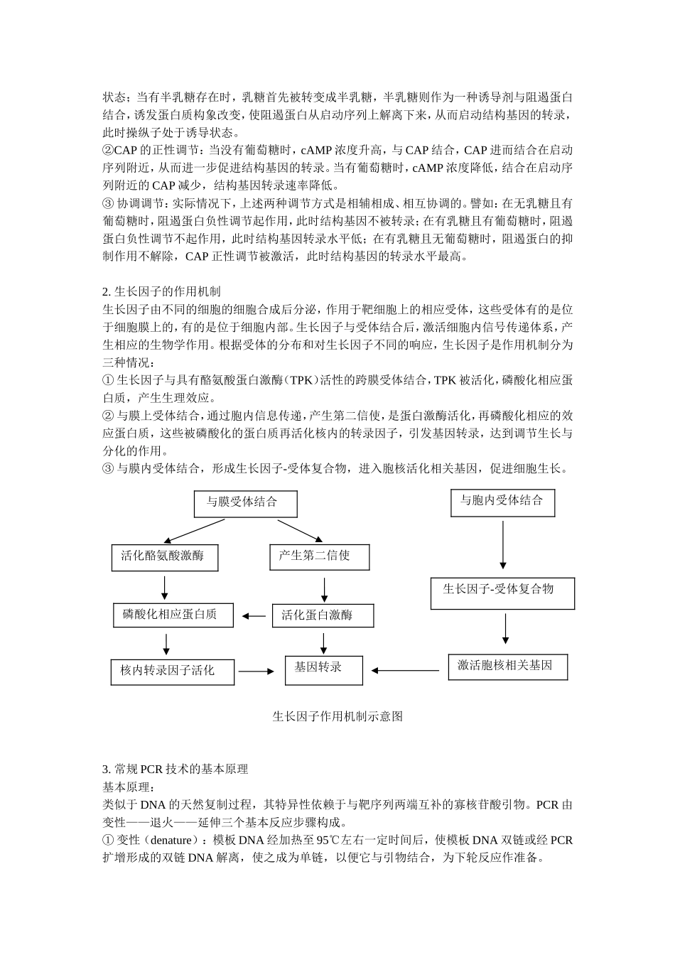 分子生物学知识点整理_第3页