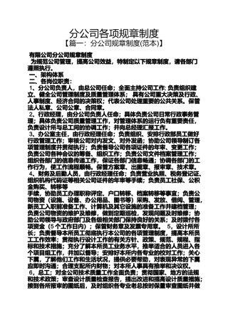 分公司各项规章制度
