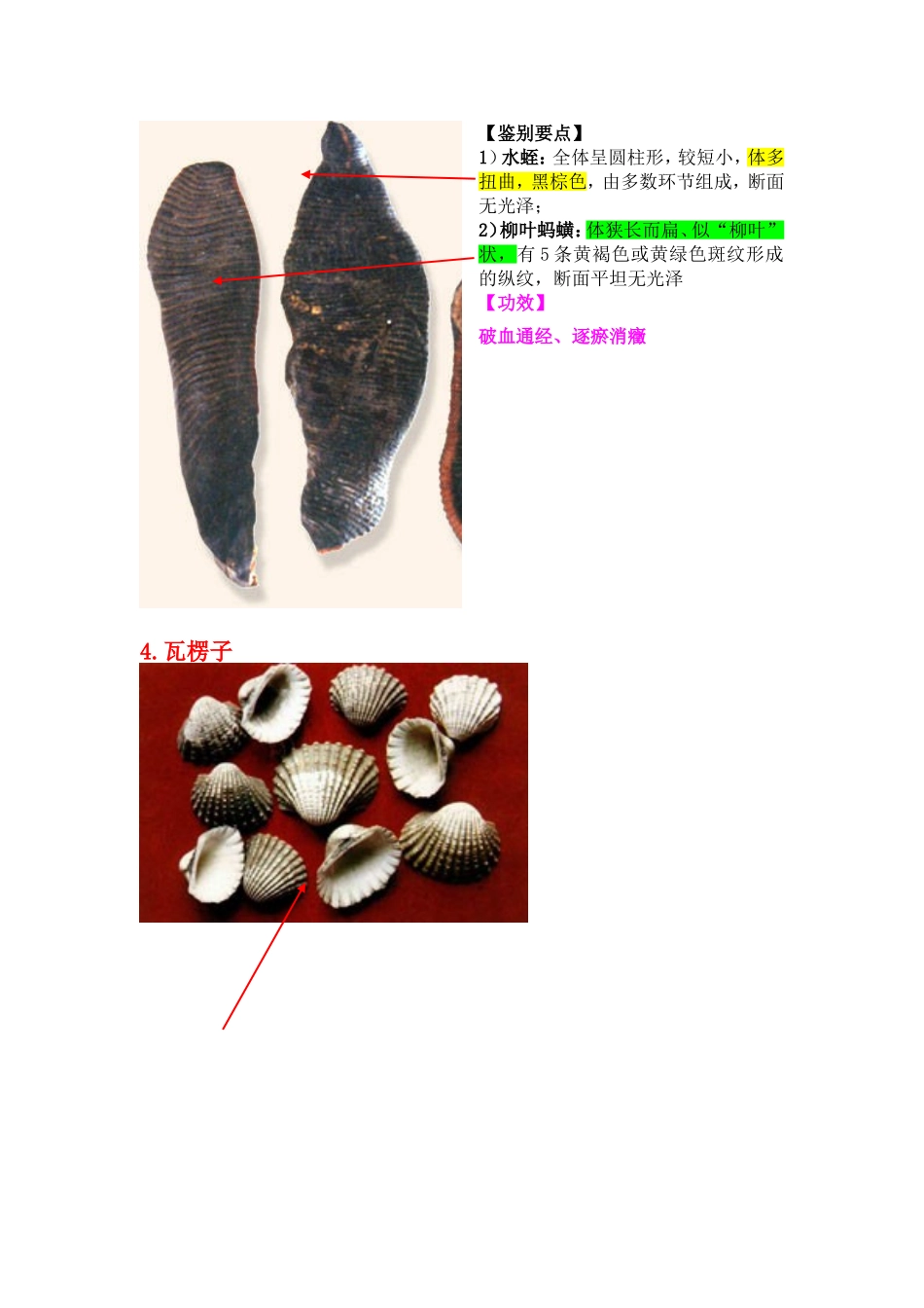 动物药类11种_第2页