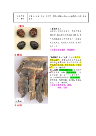 动物药类11种