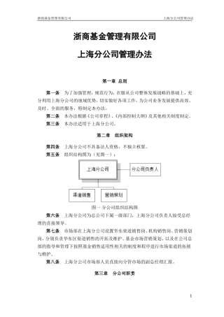 分公司管理办法(同名16657)
