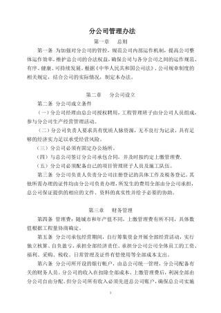 分公司管理办法