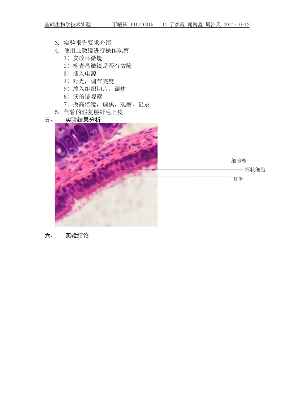 动物组织切片观察_第2页