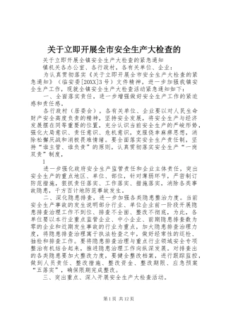 关于立即开展全市安全生产大检查的