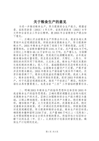 关于粮食生产的意见