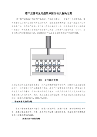 冻干压塞常见问题的原因分析及解决方案