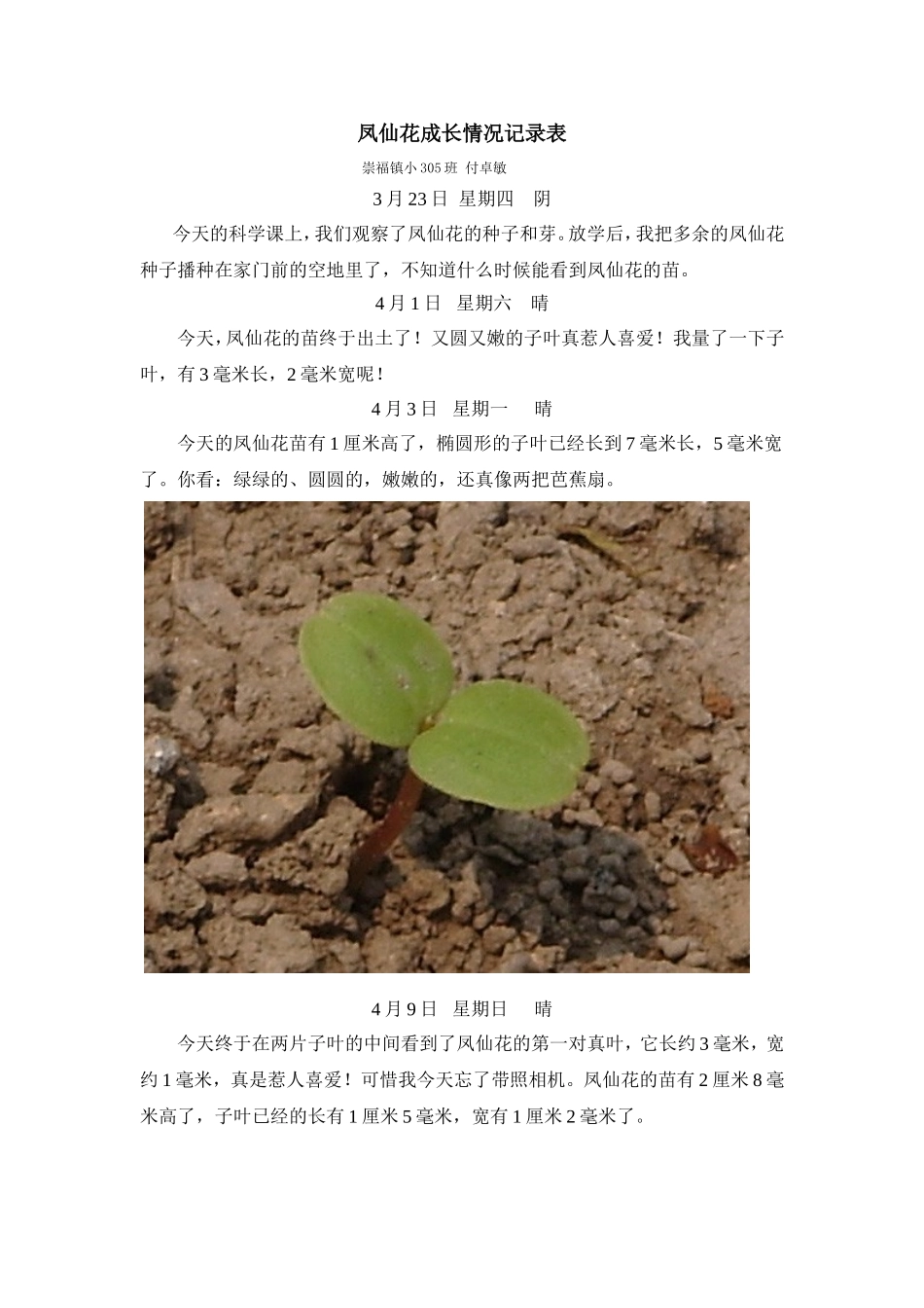 凤仙花成长情况记录表_第1页
