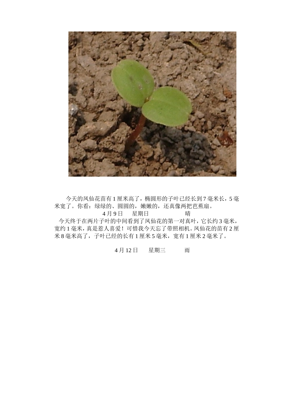 凤仙花生长观察实验报告_第3页