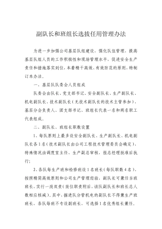 副队长班组长选拔任用办法