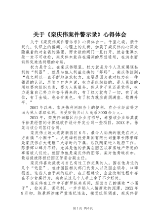 关于栾庆伟案件警示录心得体会