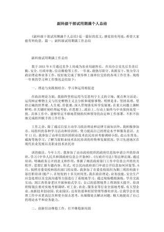 副科级干部试用期满个人总结