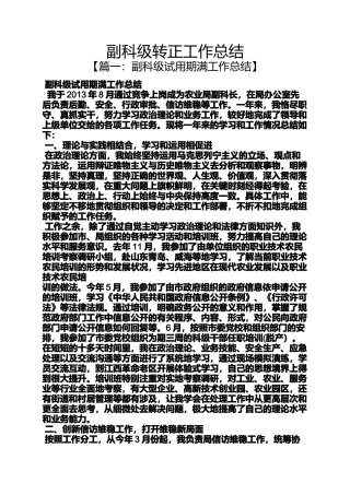 副科级转正工作总结