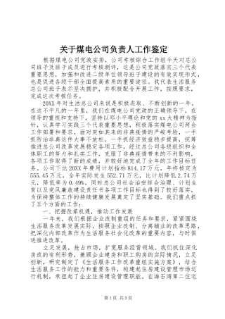 关于煤电公司负责人工作鉴定