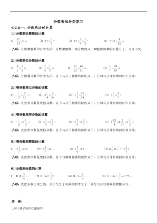 分数乘法分类复习