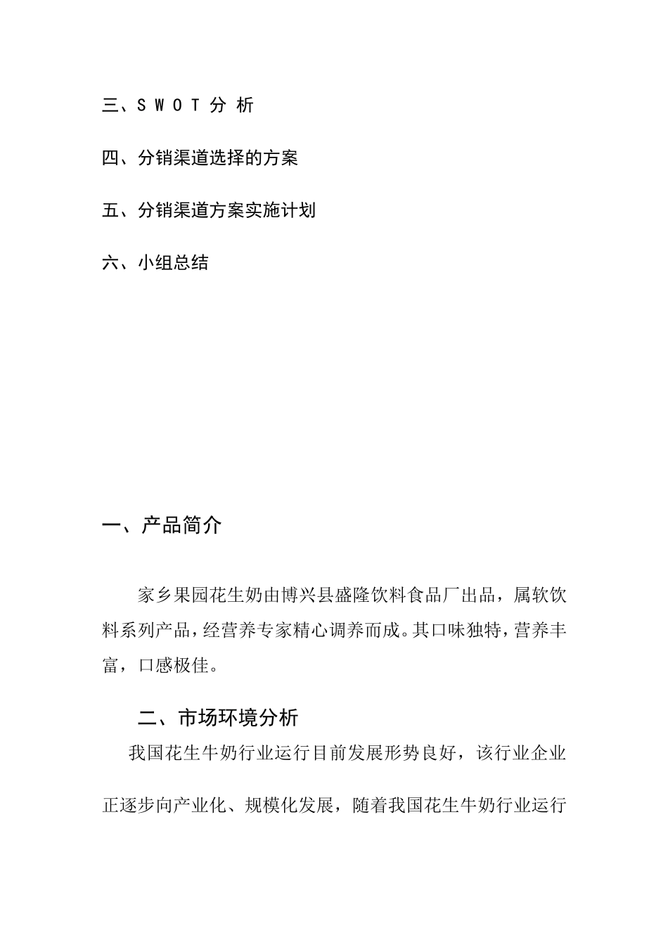 分销渠道建议书_第2页