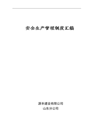 分公司安全生产管理制度